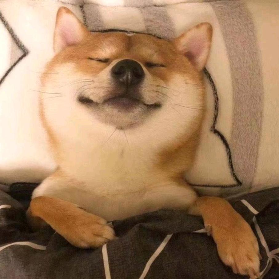 一棵树