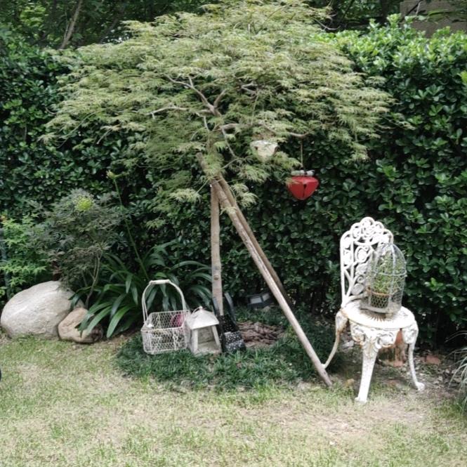 杭州国宏市政装饰公司