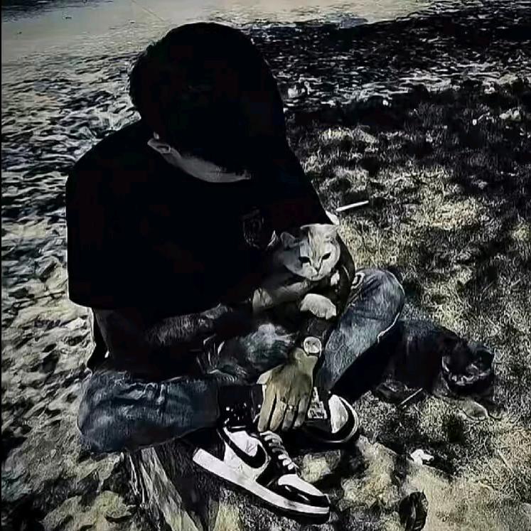 🕷️