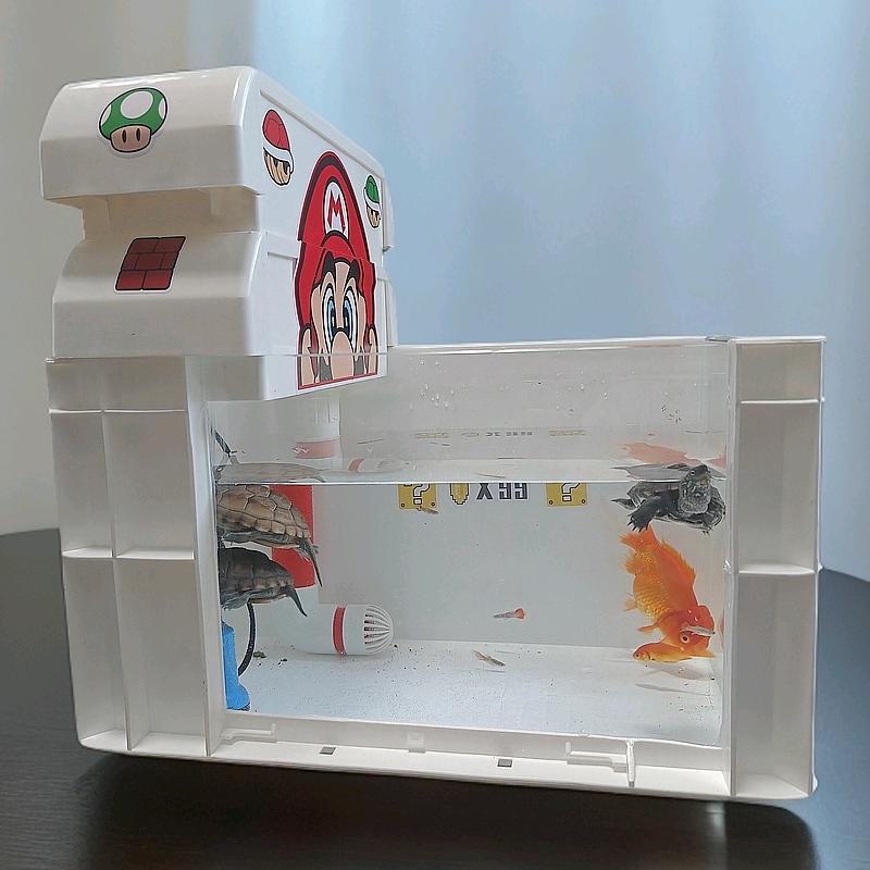 阳光龟缸