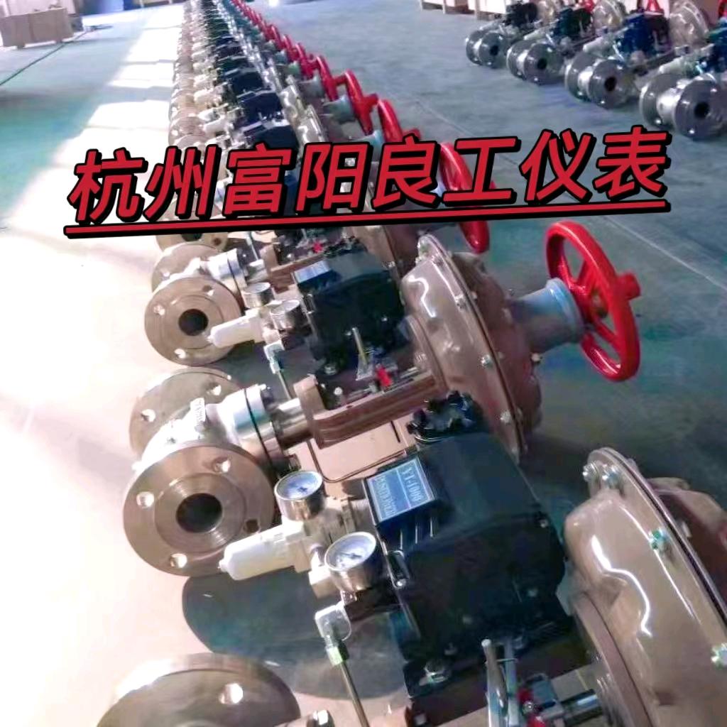 杭州富阳良工仪表