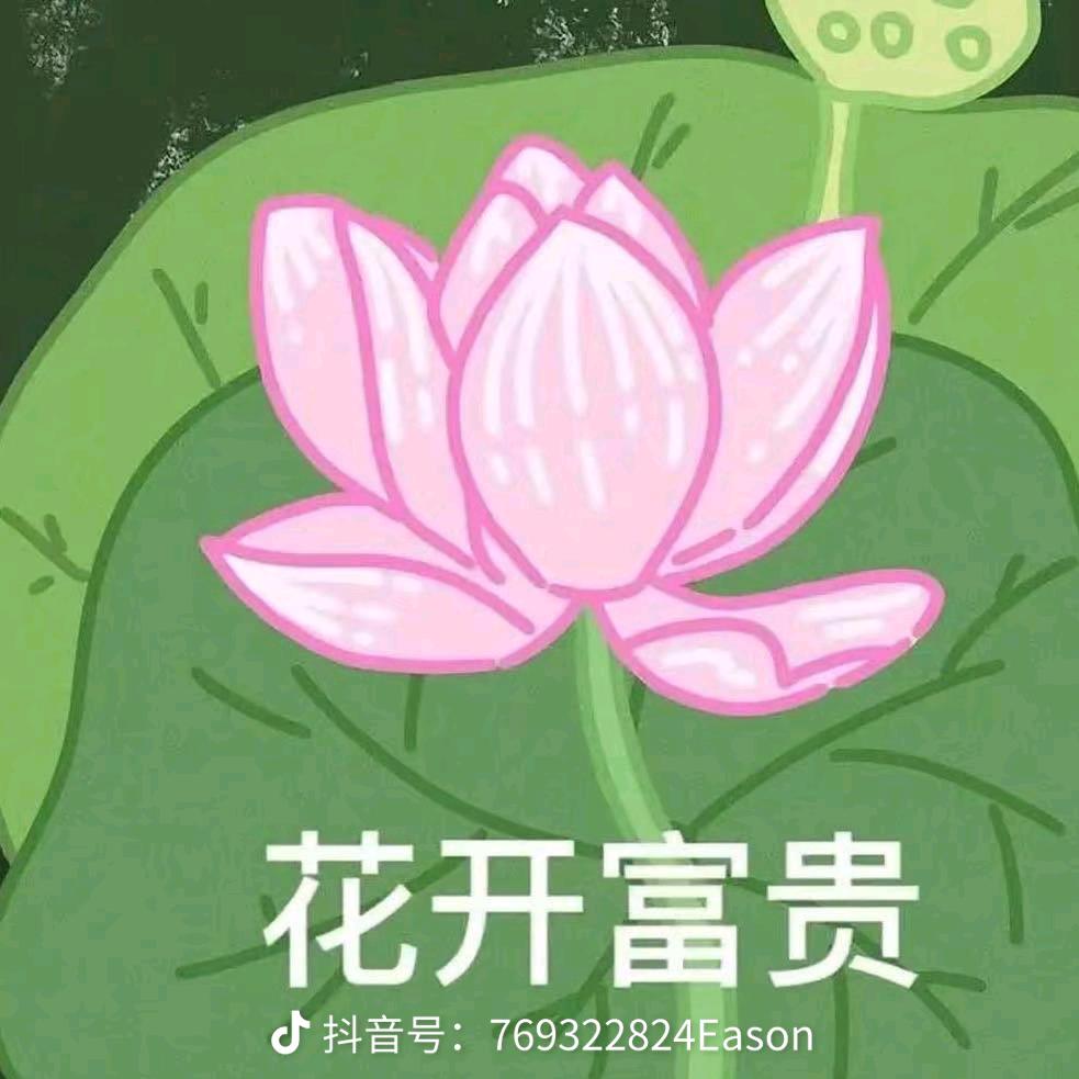 岁月静好。