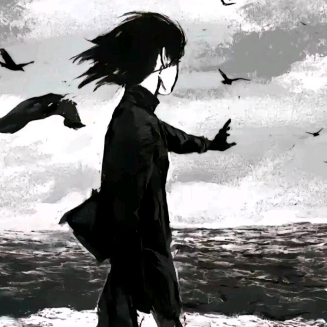 @清风（三角洲行动）