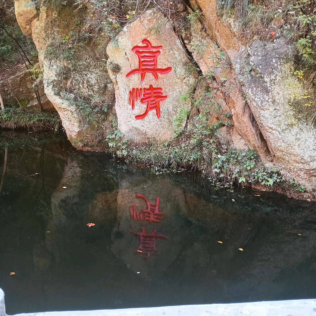 春和景明头像