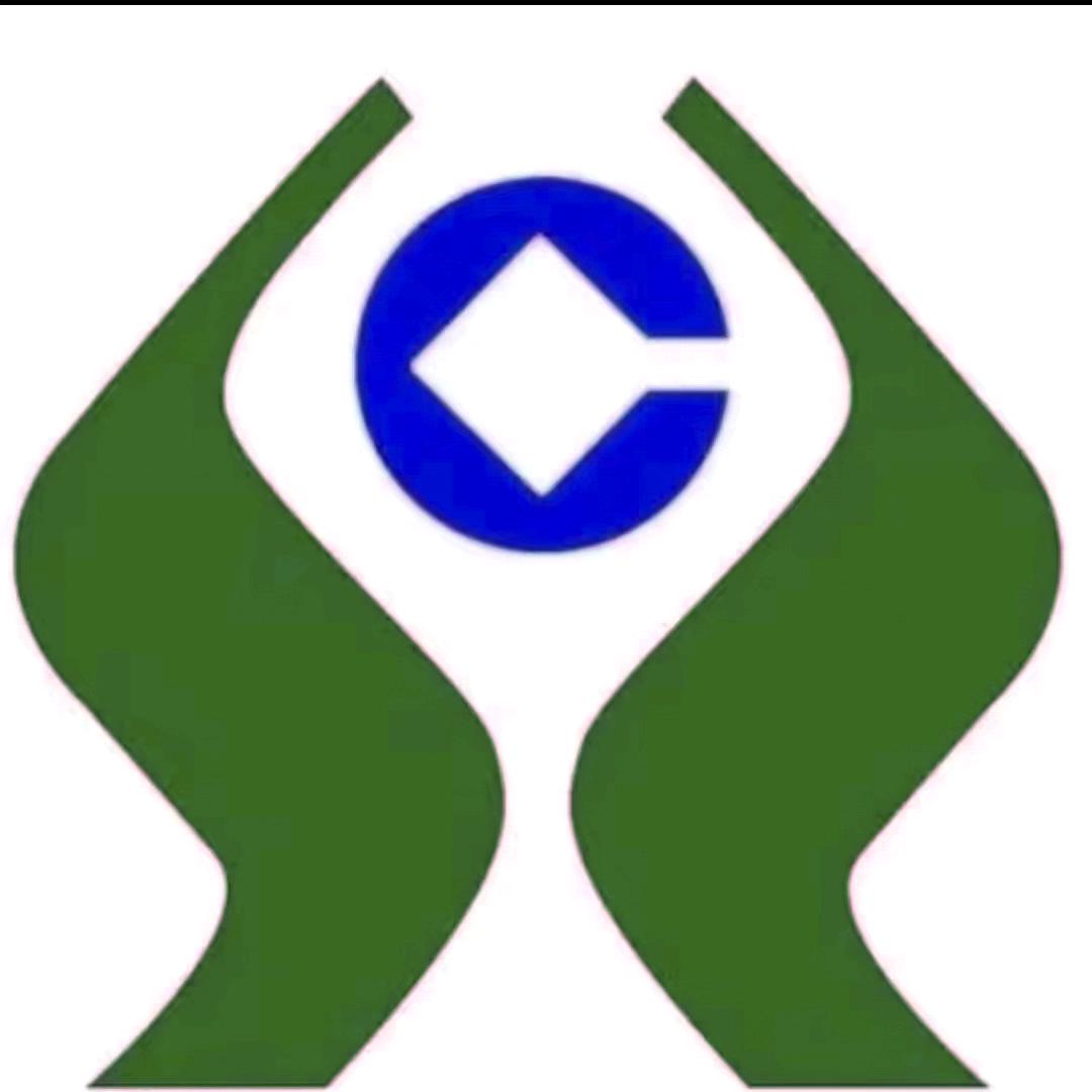 四川正鼎峰汽车服务有限公司