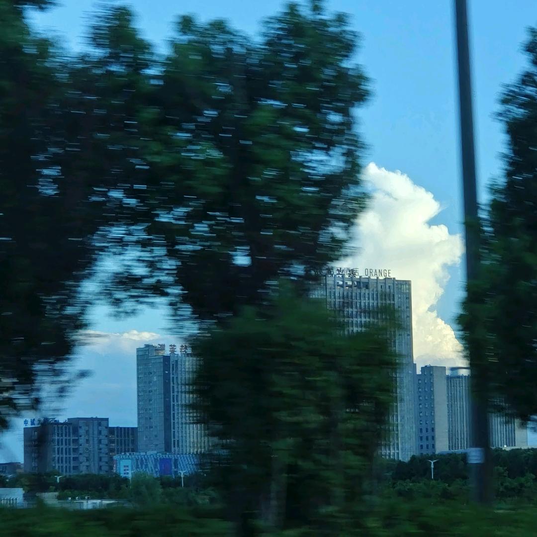 想变身卡皮巴拉