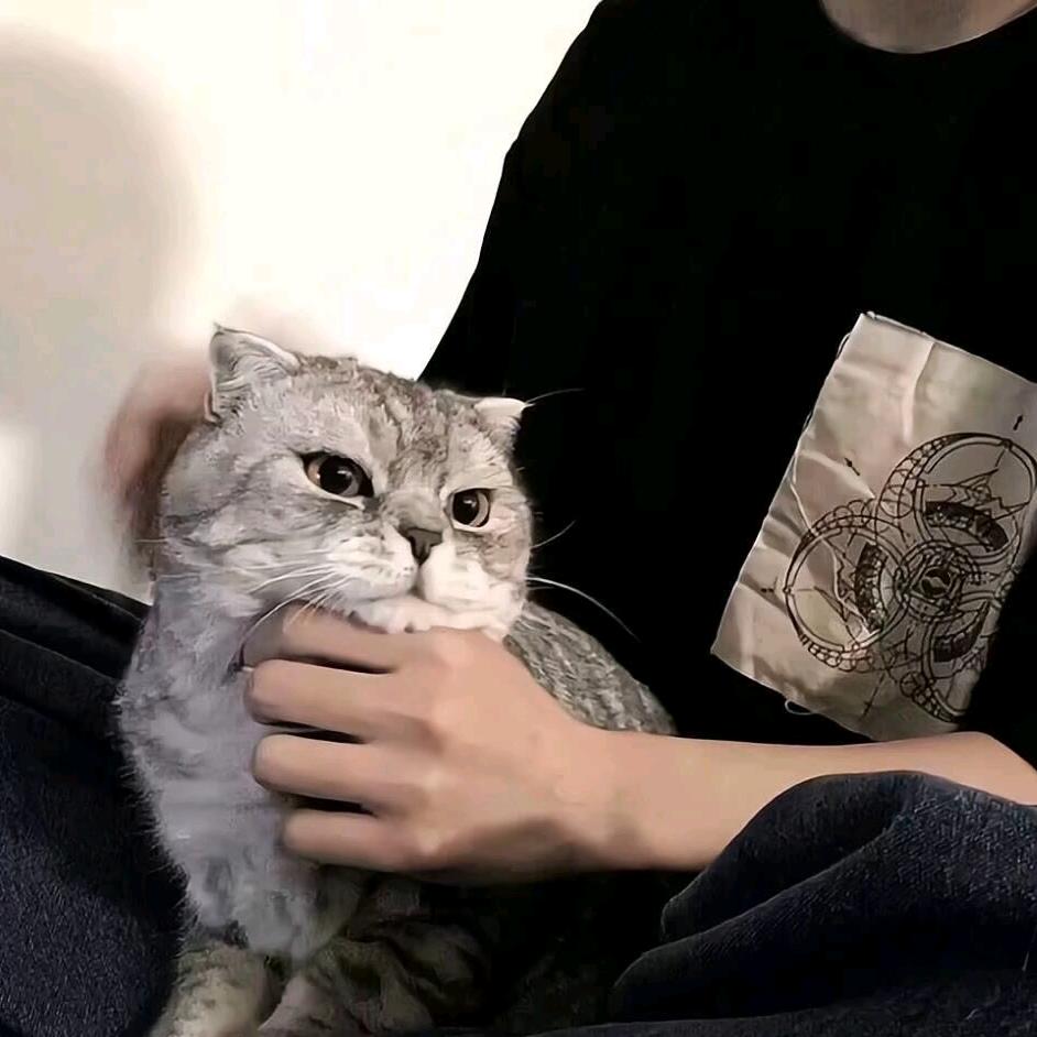 無...