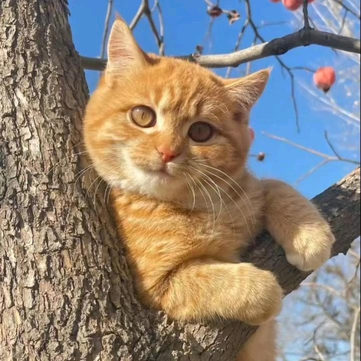 阳光☀