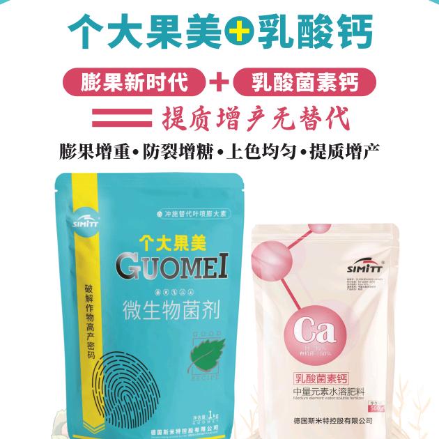 濮阳五谷丰程海堂
