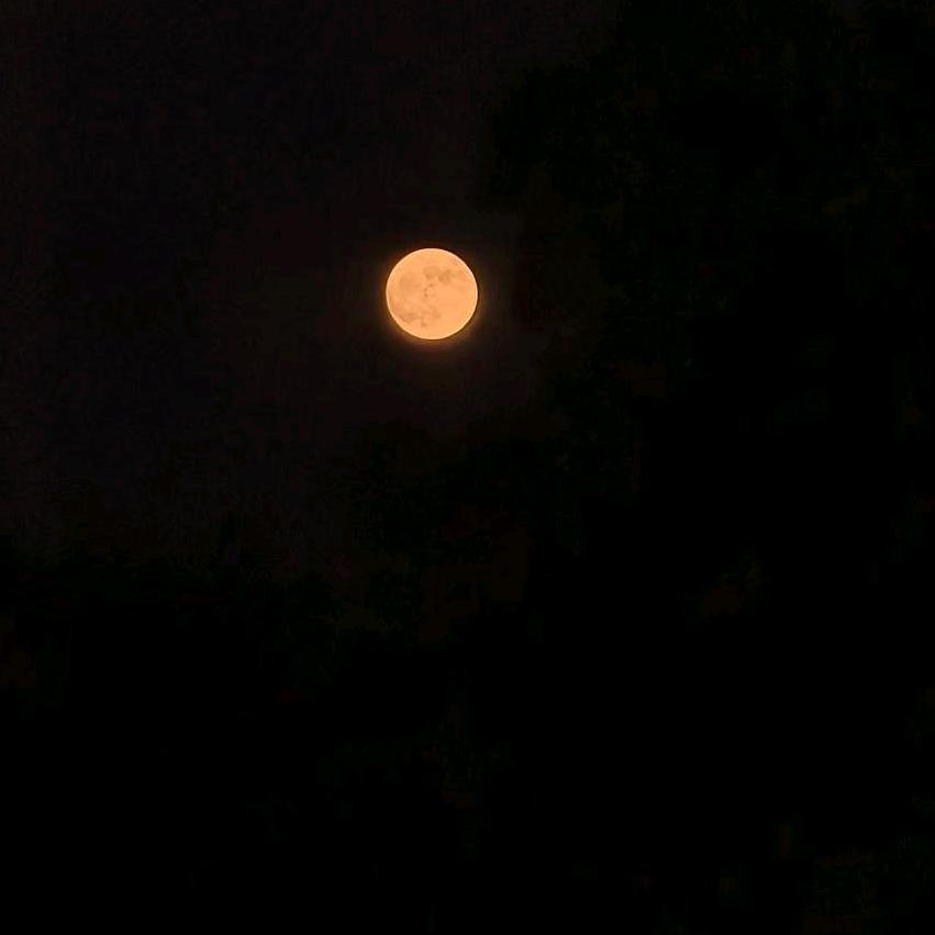 GD球星卡