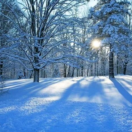 映雪丰年