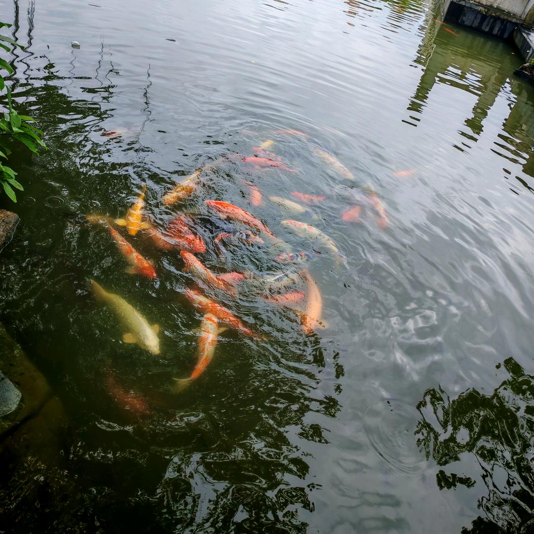 时间痕迹