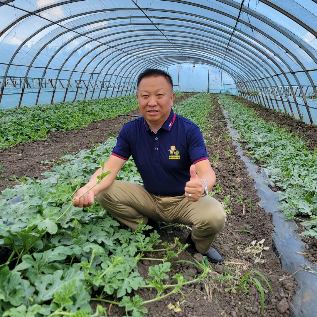蔡总带您种西瓜（717）