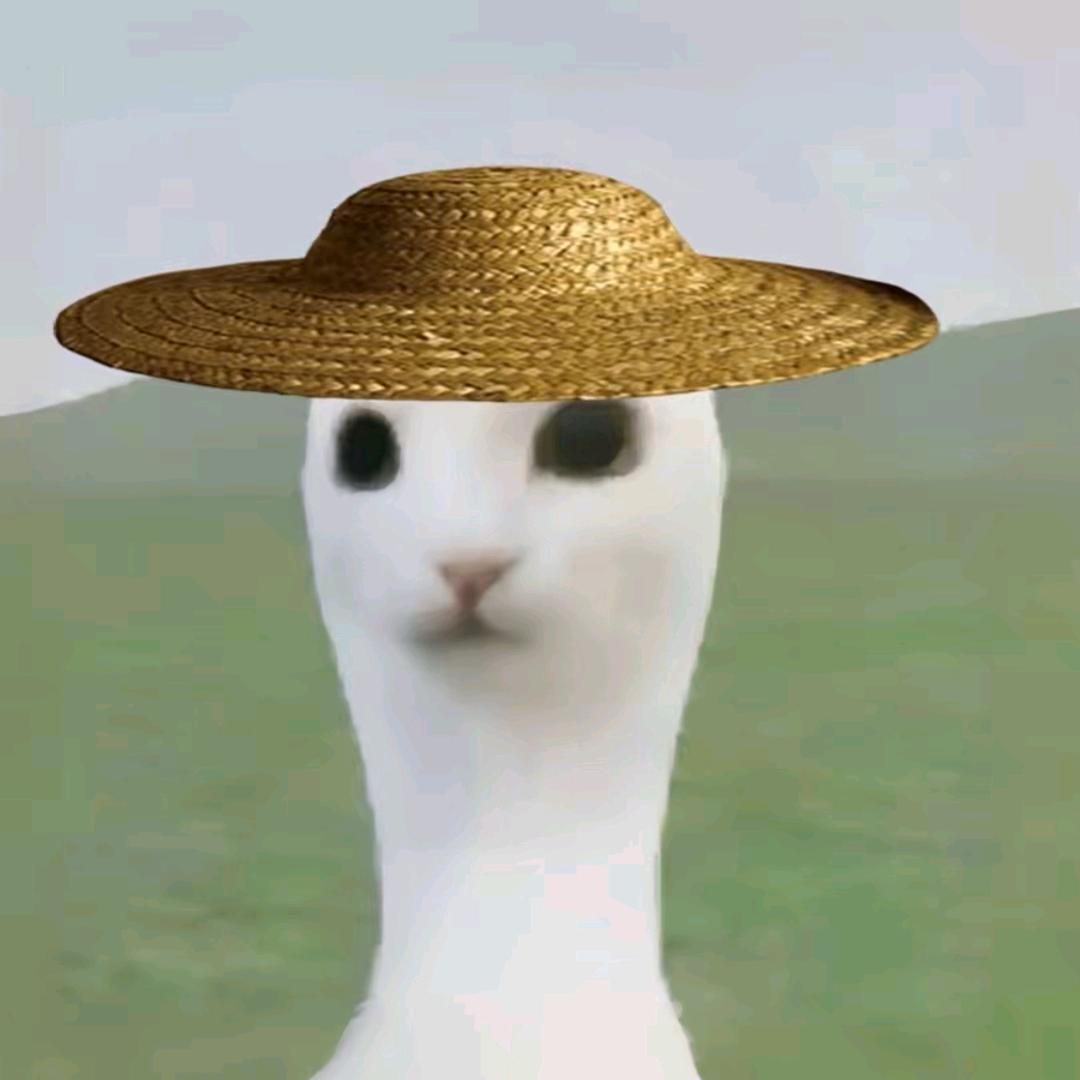 夏xxia（现场见证徐必成FMVP版