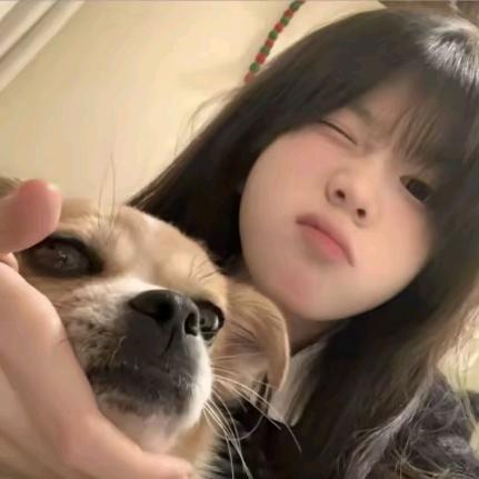 晚晚晚晚晚晚晚晚安👣