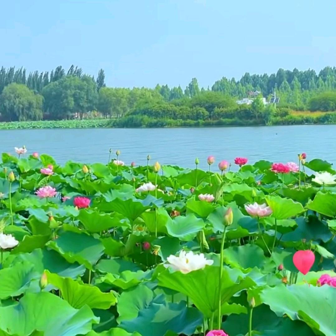 静思