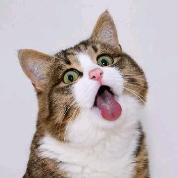 Hjhhh