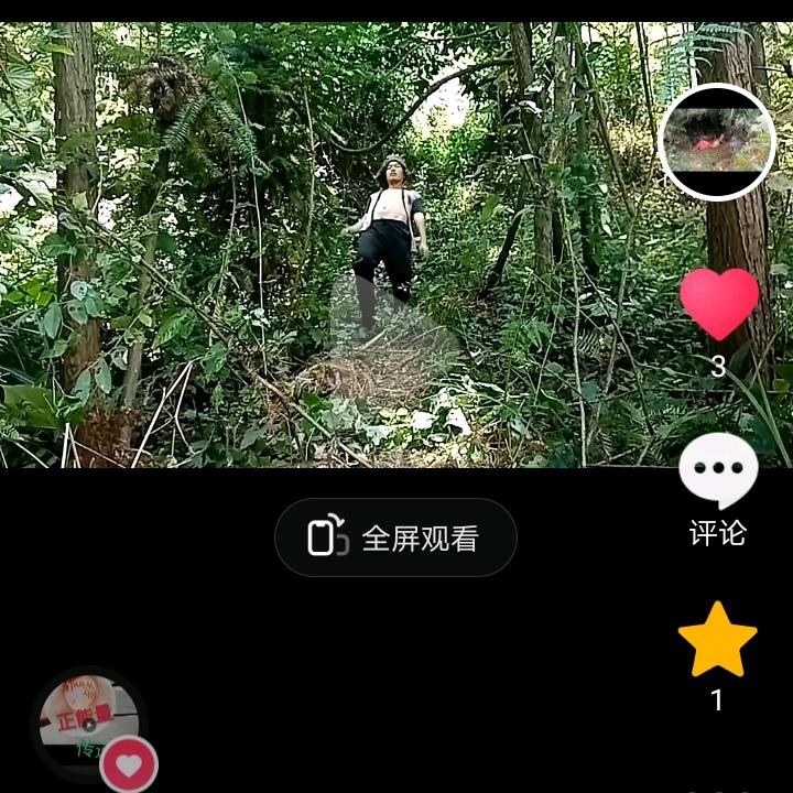 蝴蝶爱上开心果