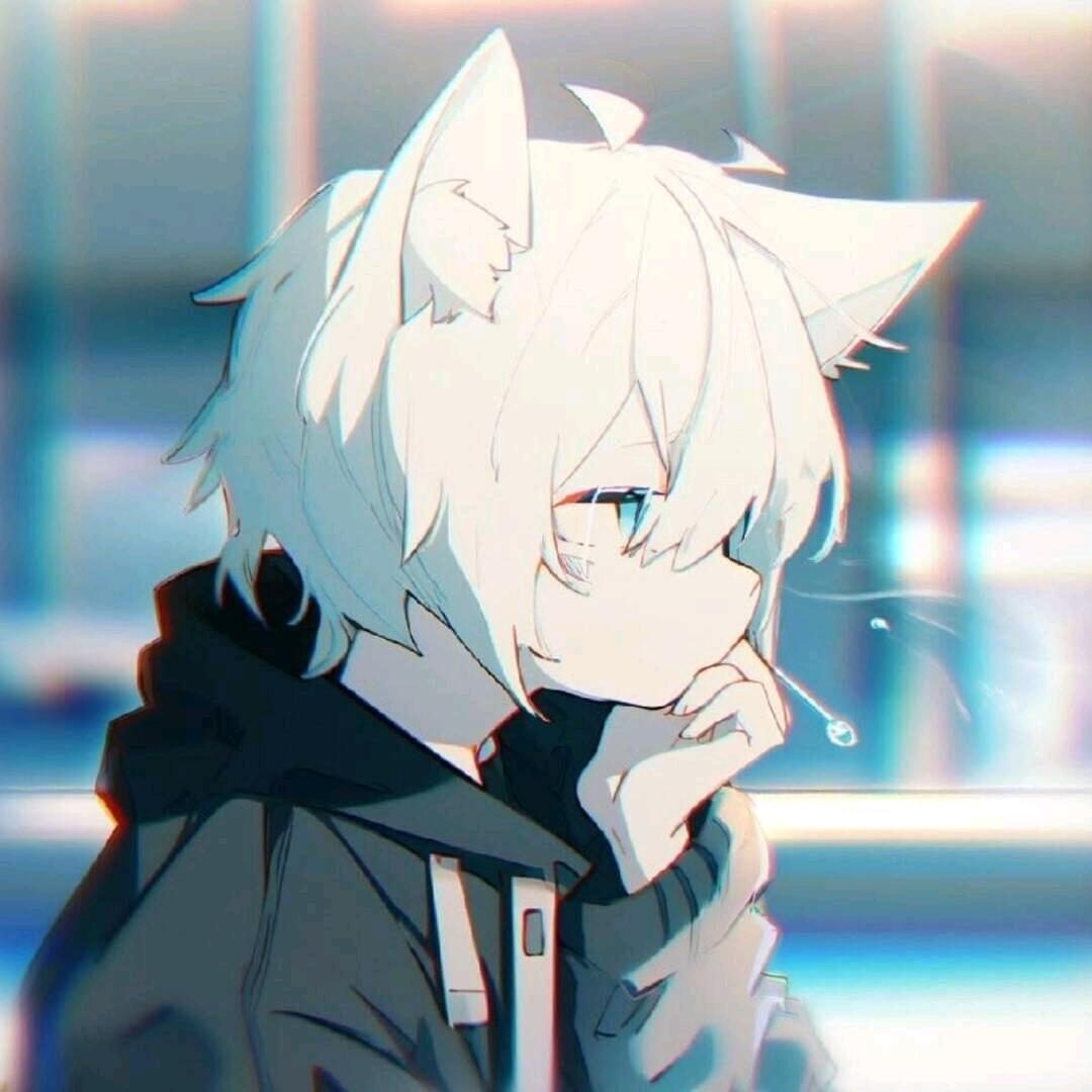 景夜不熬夜