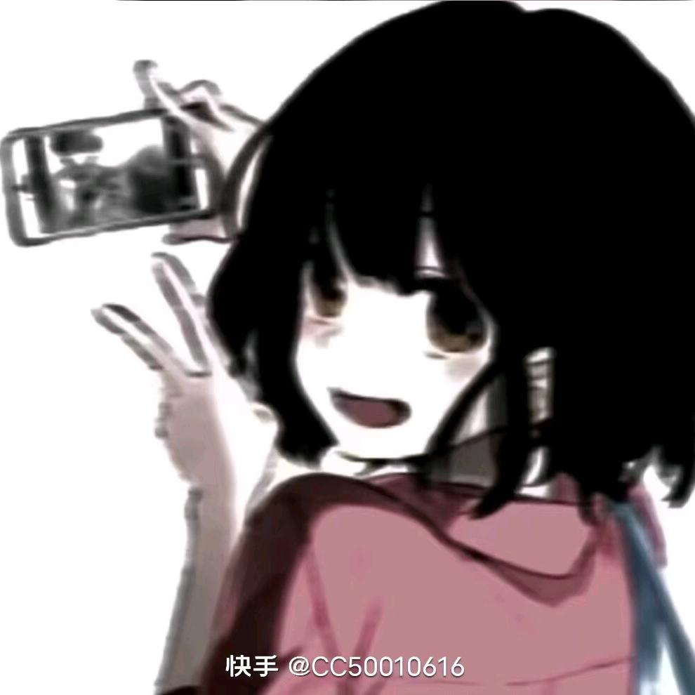 分享手账