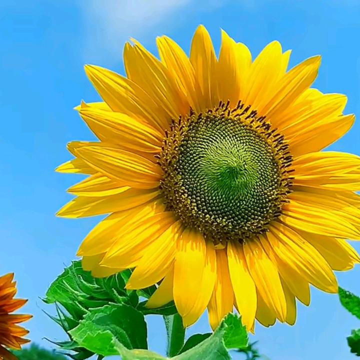 霞娟🎉🎉🎉喜乐杨杨