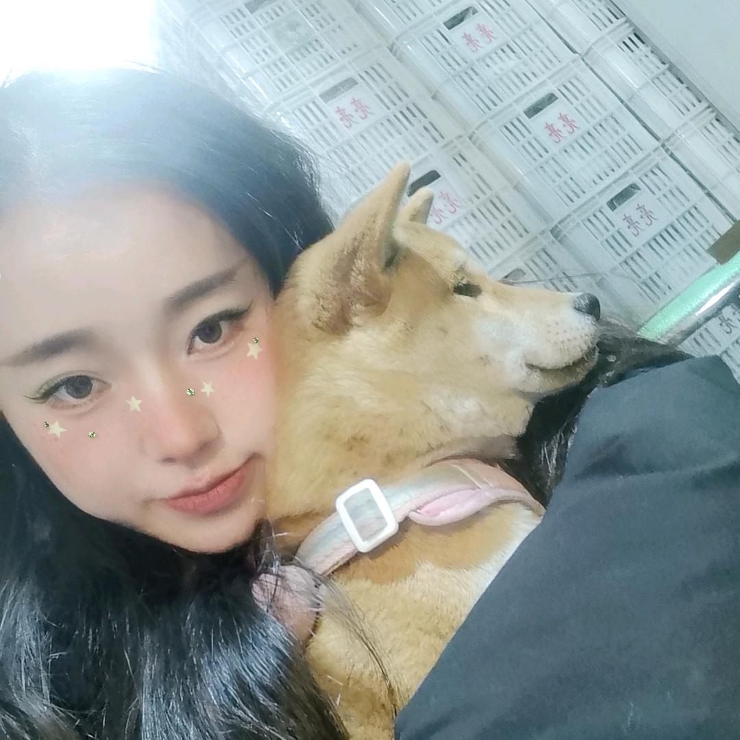 钱堡鼓鼓⌯'ᵕ'⌯