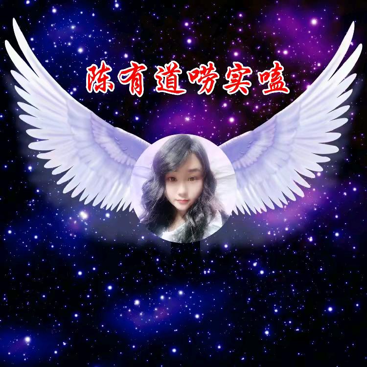 陈有道唠实磕