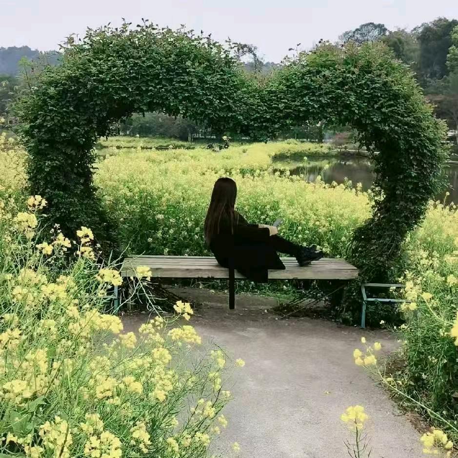 🌹带刺的玫瑰 🌹