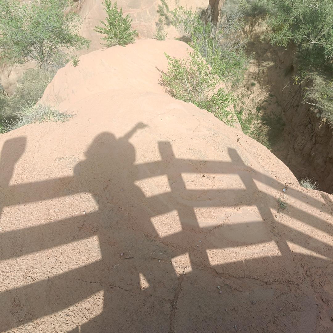 吹吹人间发财风