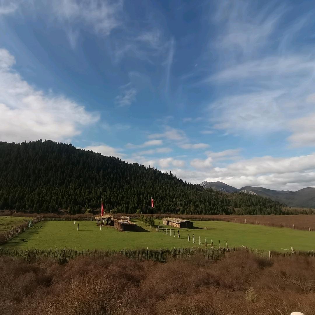 高原的袁  户外