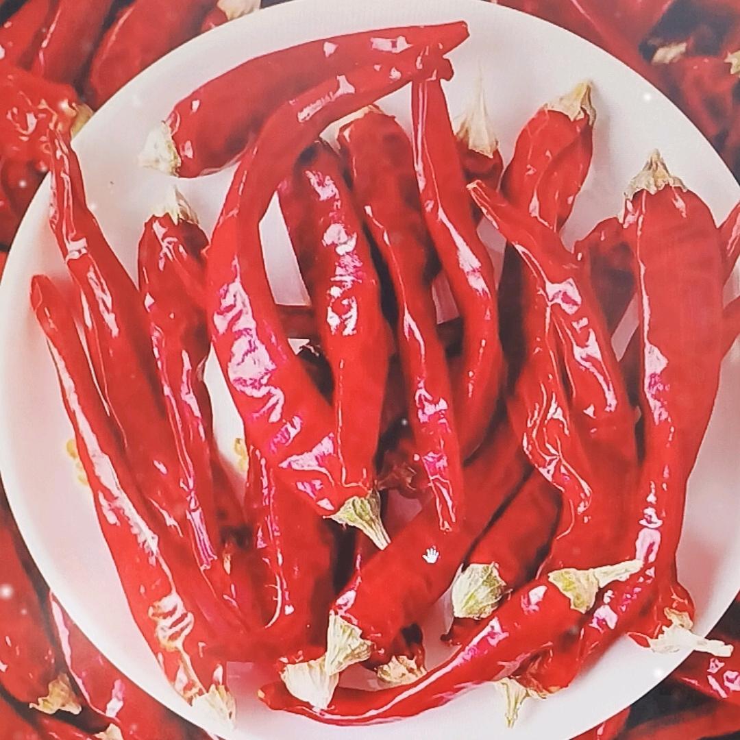 火爆辣椒.