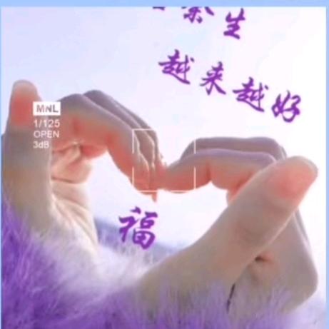 吉祥如意(善行大队)14926