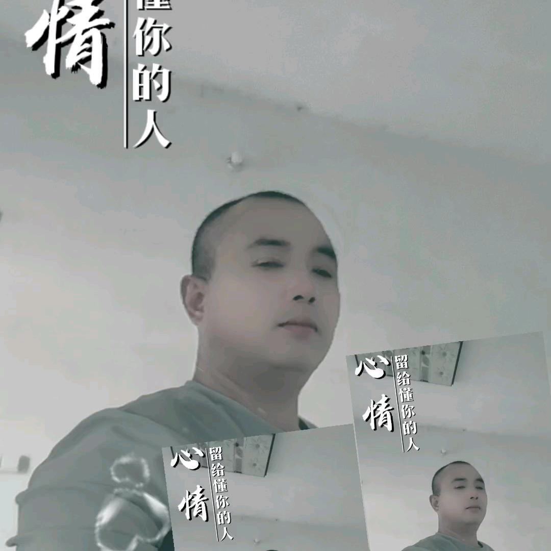 bo哥