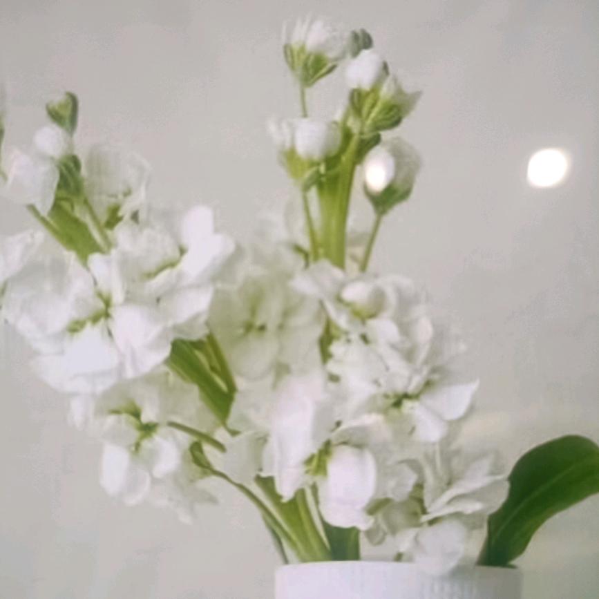王小凤优选百货爆爆