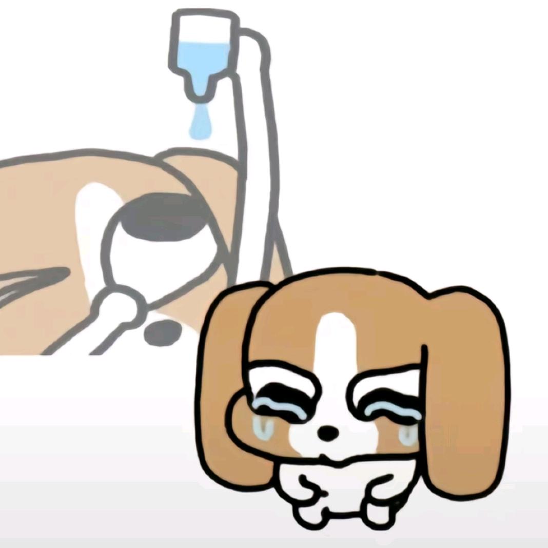 卡通猫
