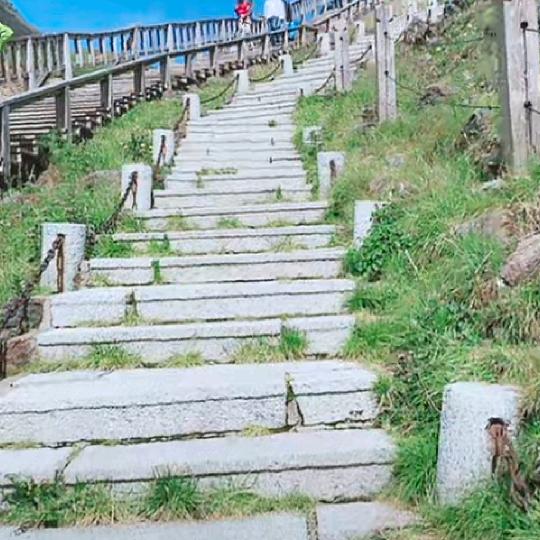 忘不掉的痛
