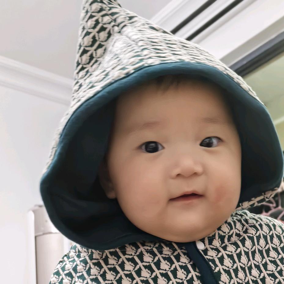 夏日小苦瓜