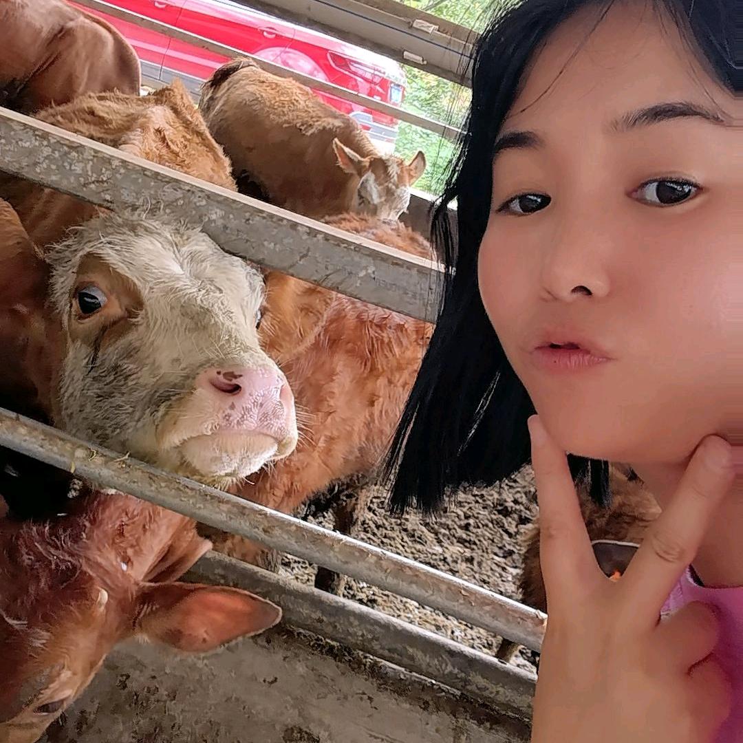 养牛娃（小罗）