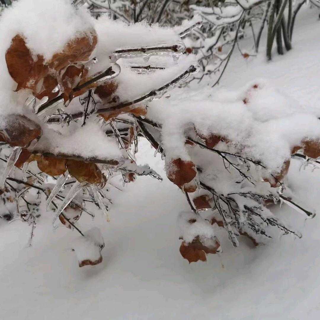 山东力明科技学院牛老师