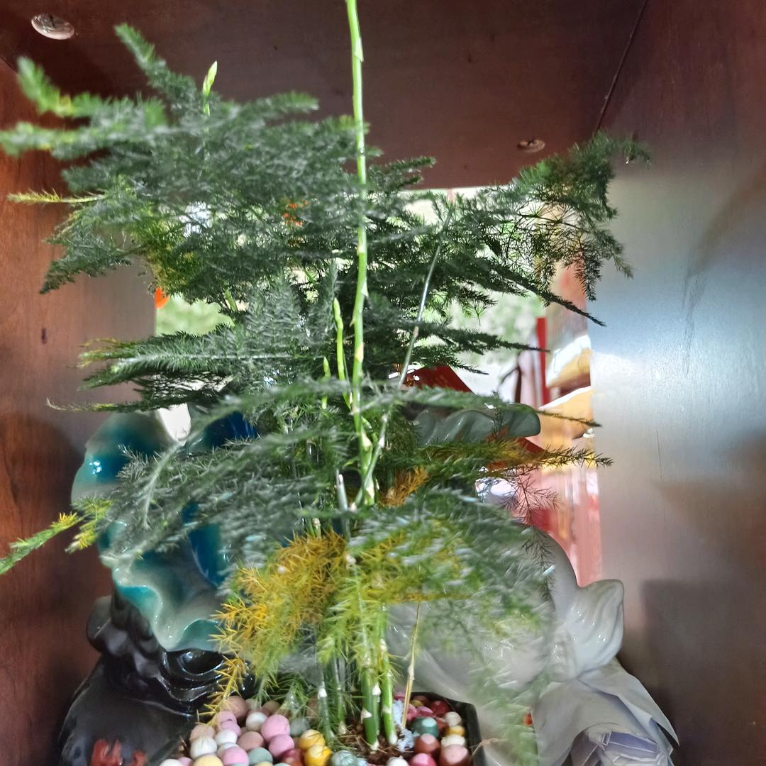 灵魂
