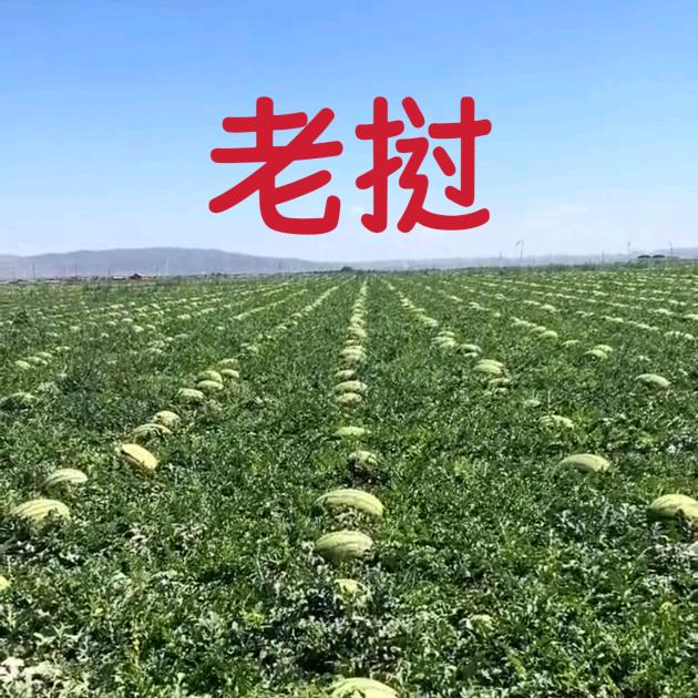 吉通海阔天空