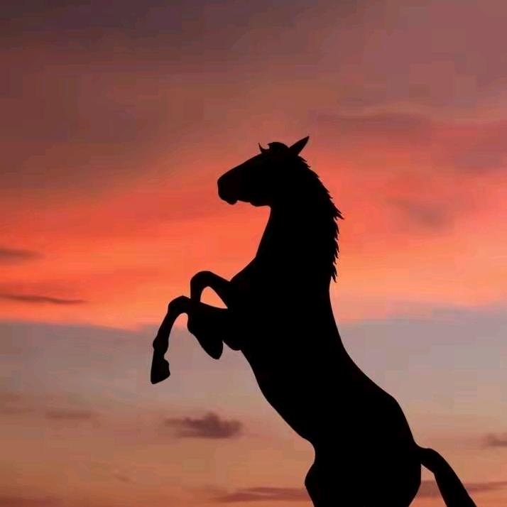 马🐎