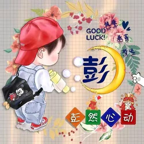 风不懂寂寞