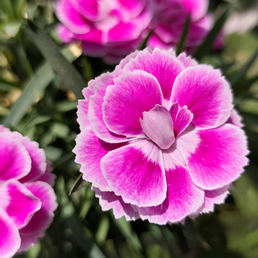 低调（｡ò ∀ ó｡）