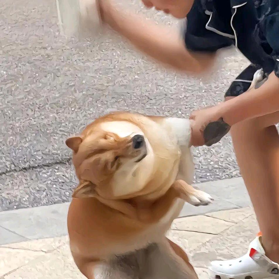 乱剪刀仔