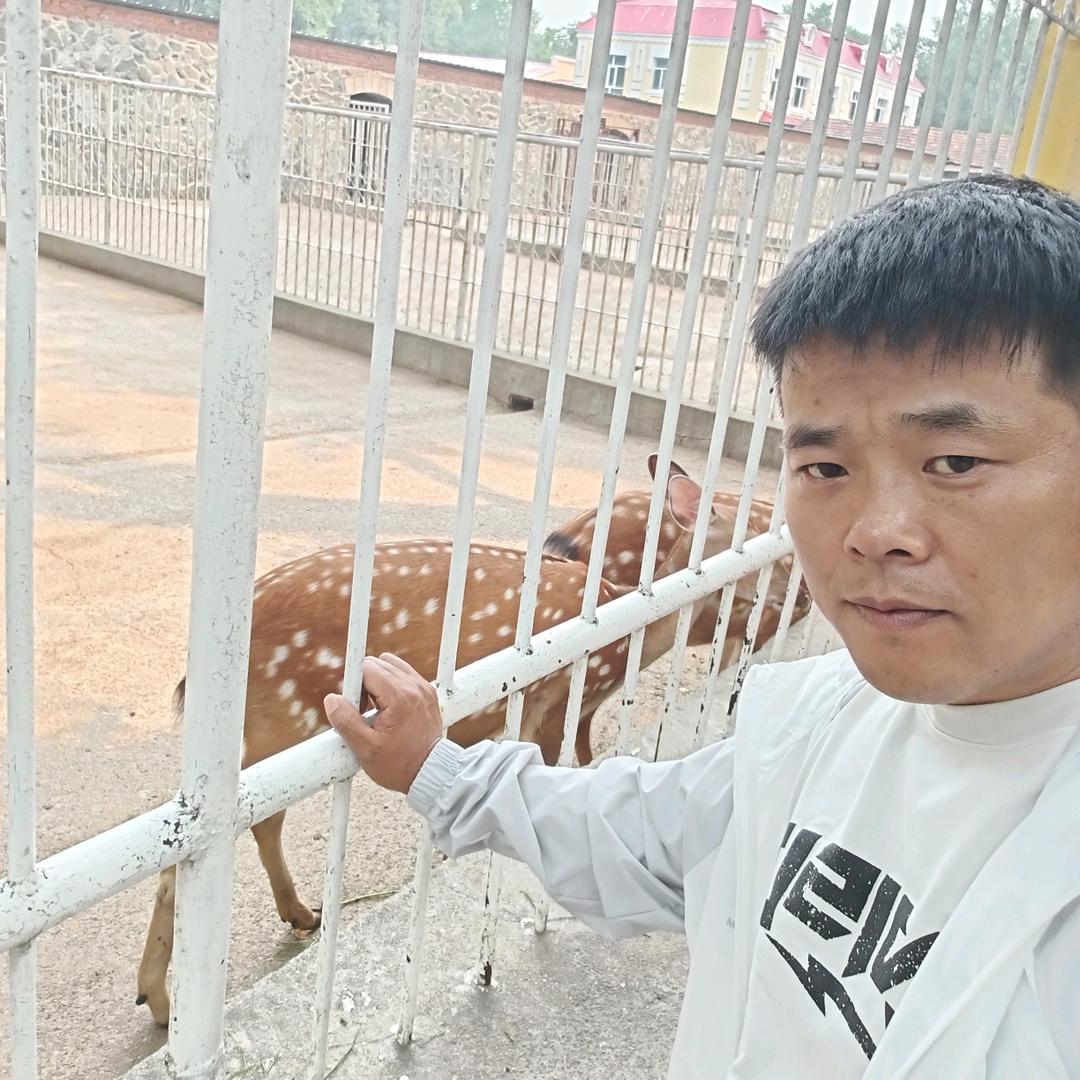 十年温如初