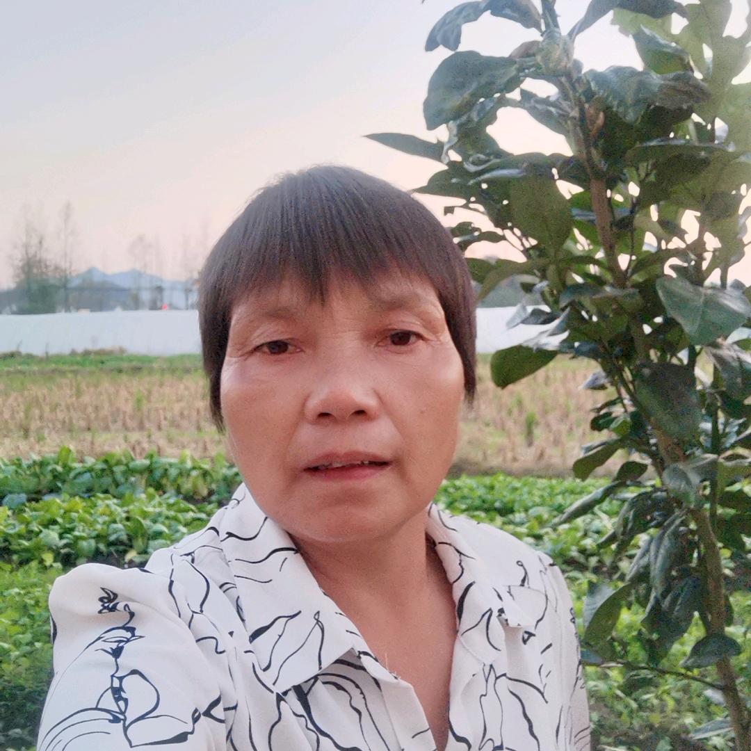 广丰五都，凤姐，41397633296