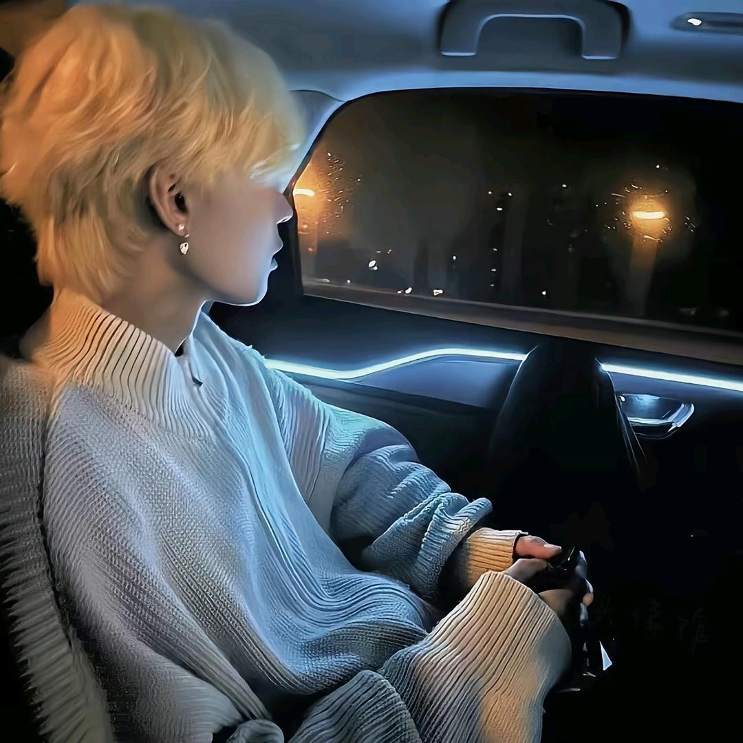 所念皆星河