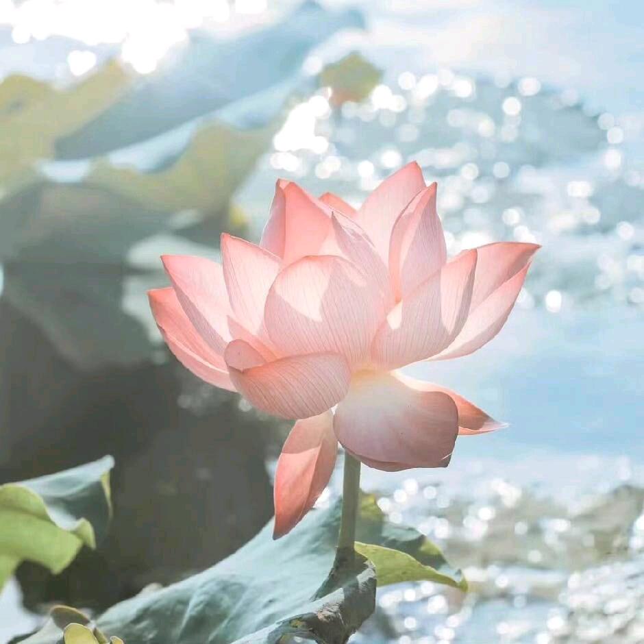 每一天
