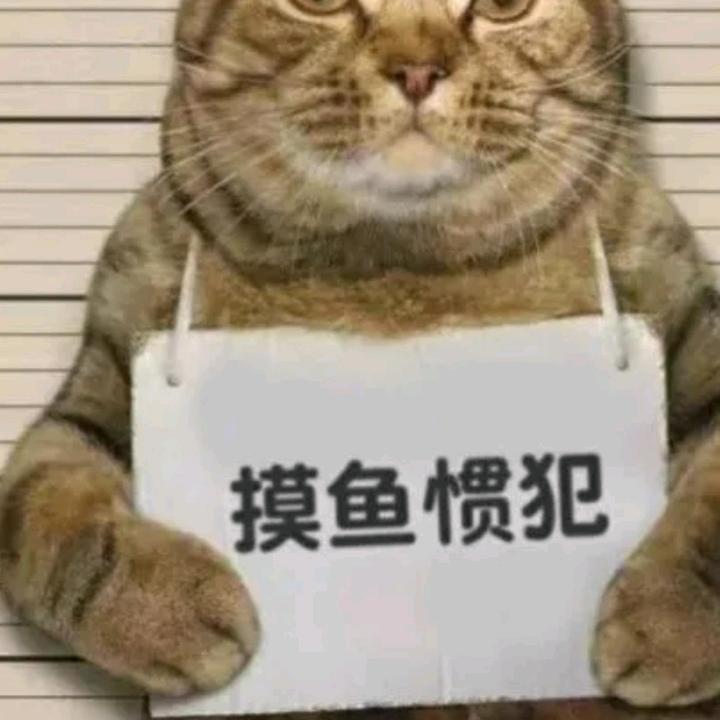 枫叶⸙㊣